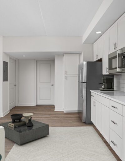 Modern Kitchen & Living Area