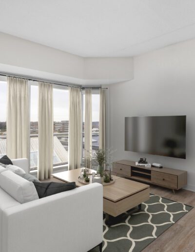 Modern Living Room Interior